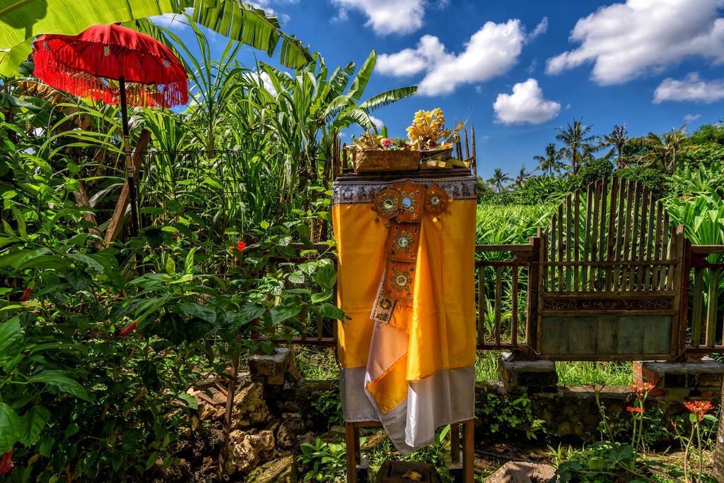 Taman Nauli Boutique Rooms Canggu Exterior foto
